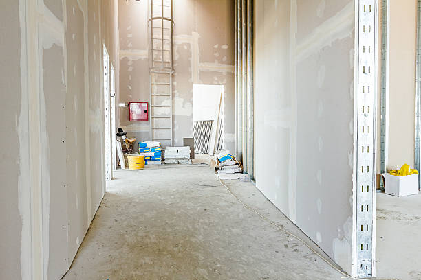 Best Real Estate Mold Inspection  in Pascagoula, MS