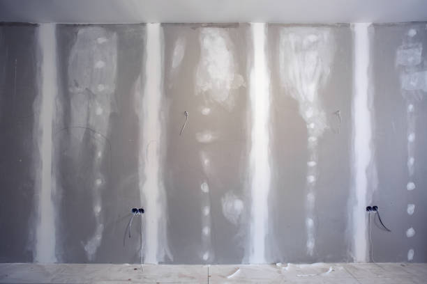 Best Mold Odor Removal Services  in Pascagoula, MS